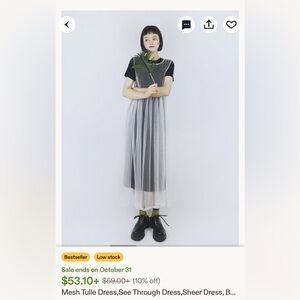 Mesh Tulle dress, sheer